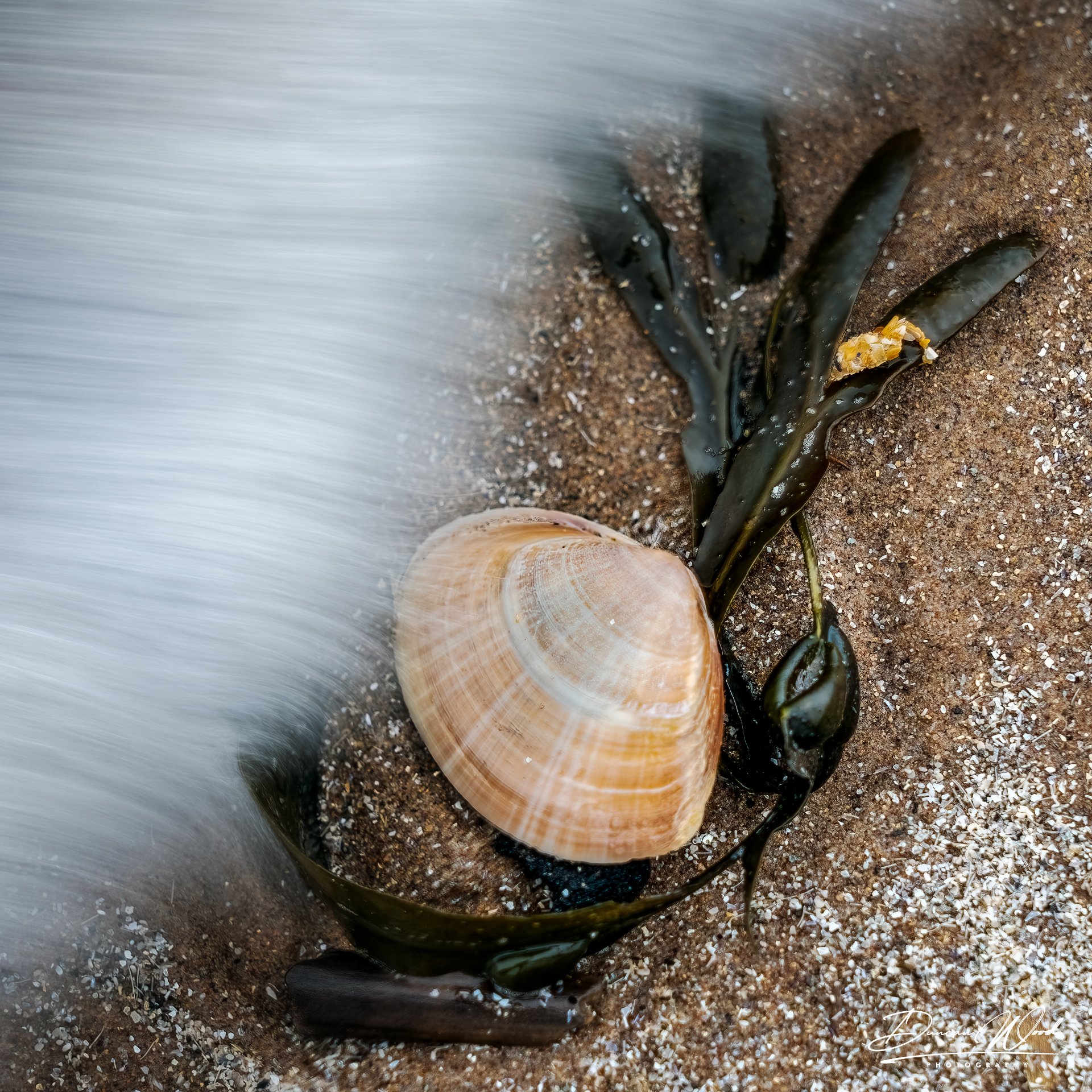 _A736654-Edit-Edit.jpg