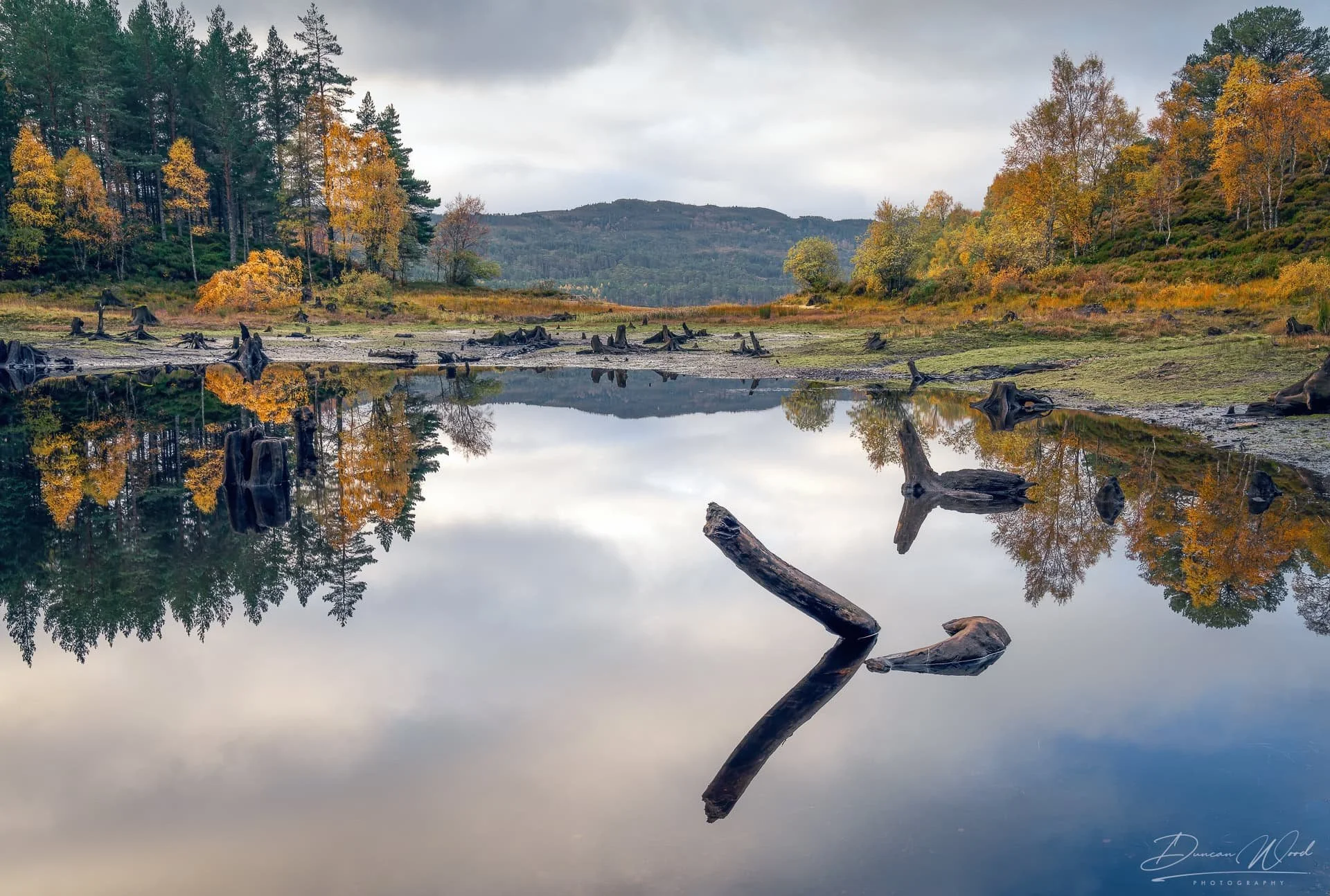 Autumn woodland and loch reflections in Glen Affric during a woodland photography workshop in the Scottish Highlands.