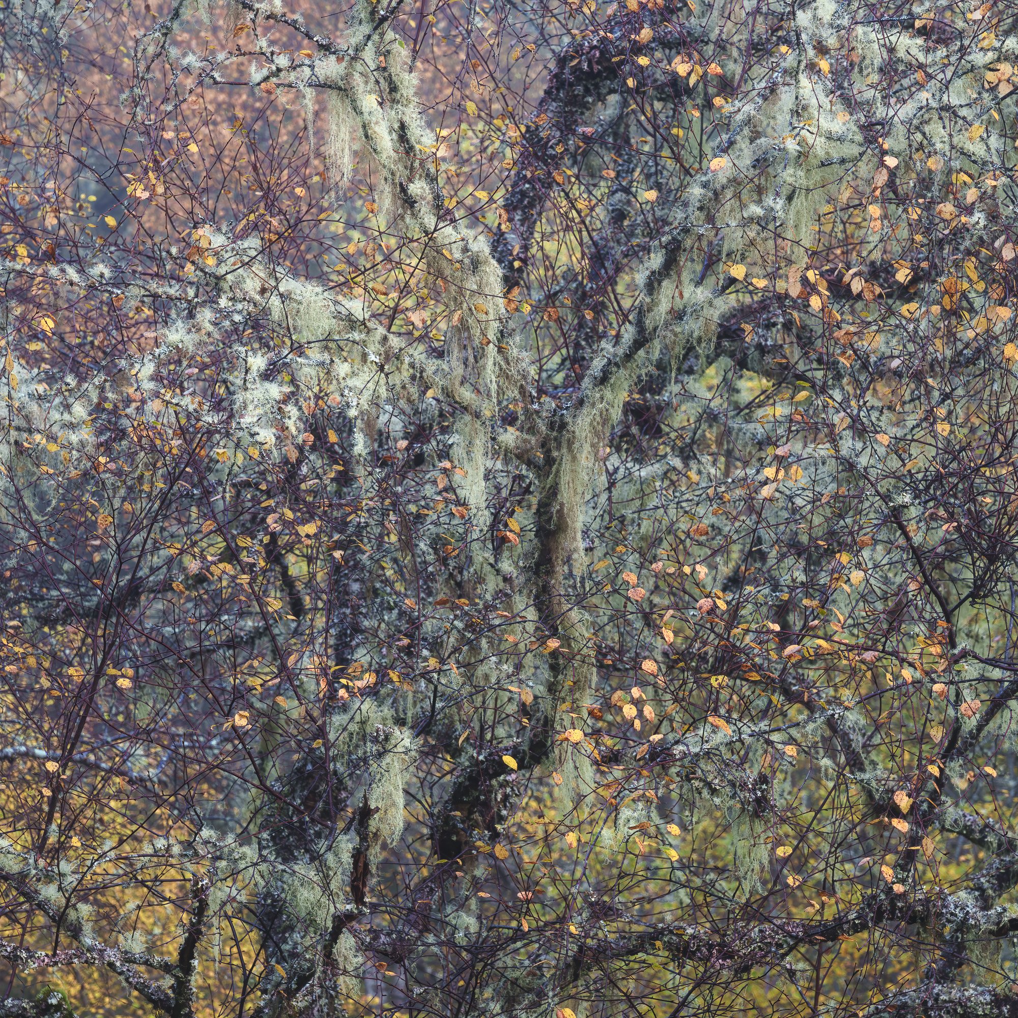SLPOTY - Duncan Wood (16).jpg