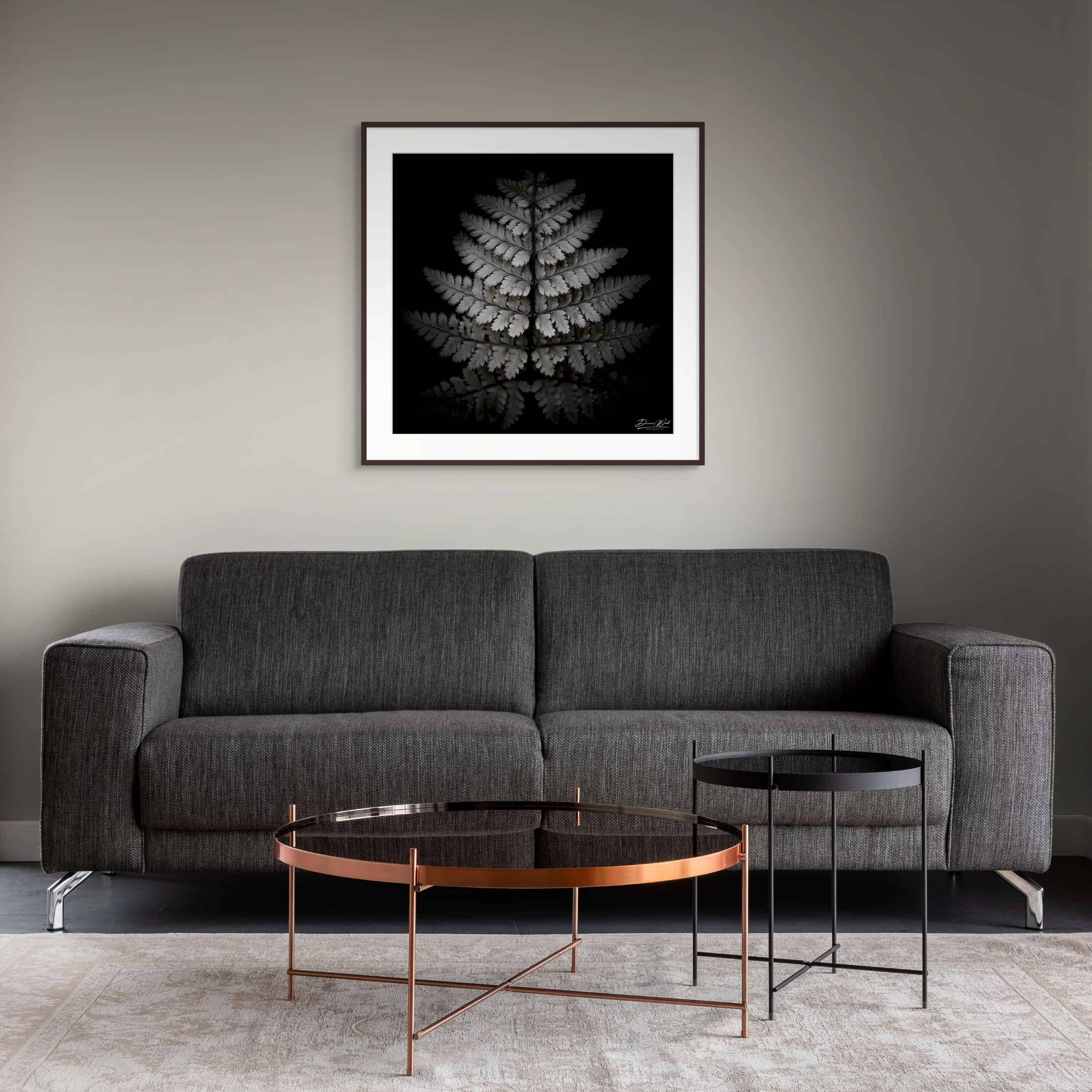 Fine Art Woodland Photography Print of a Fern Leaf in B&W, Monochrome, taken in Scotland by Duncan Wood
