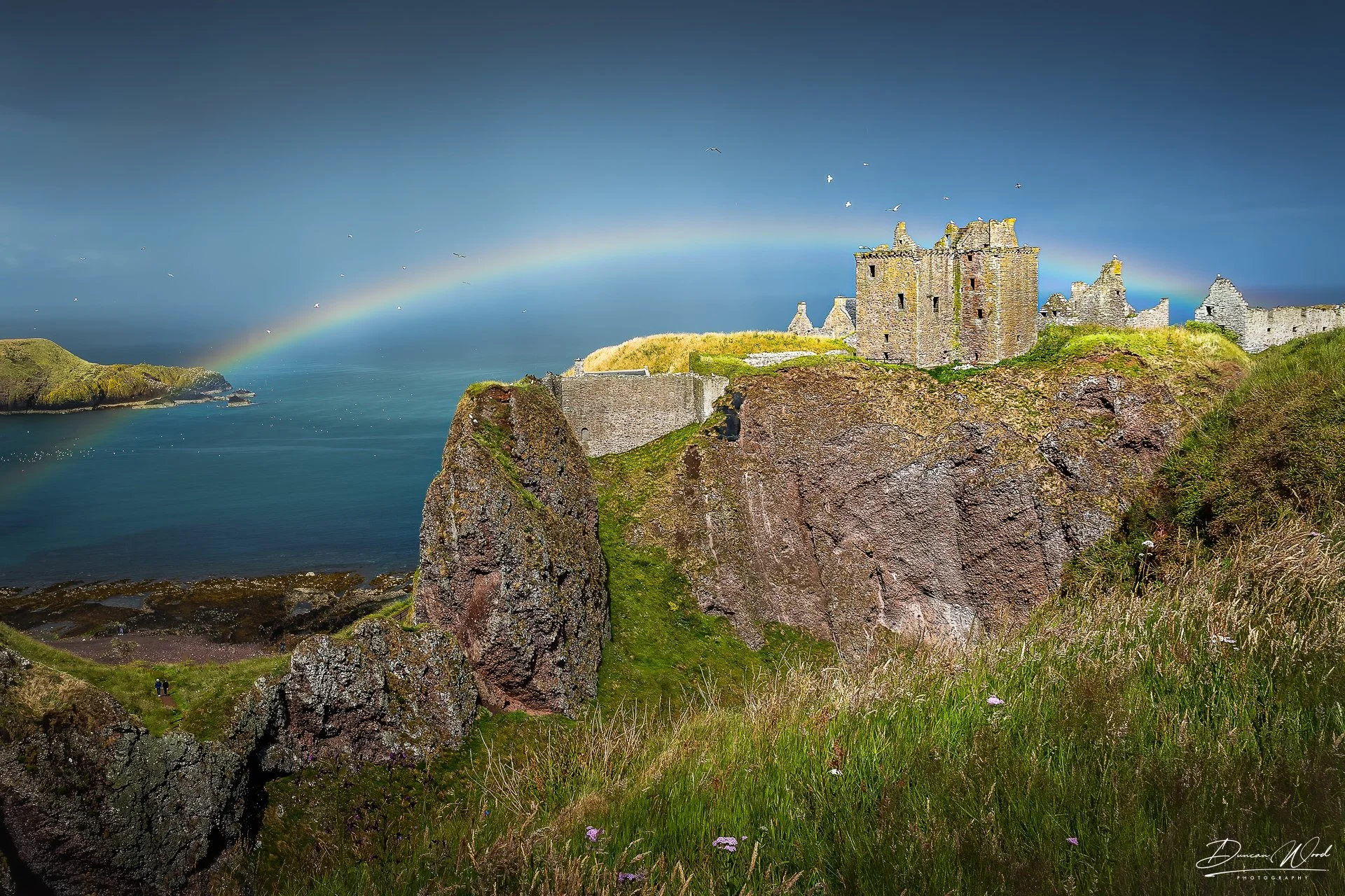 Rainbow over Dunnottar Castle, Scotland. Level 1 beginner photography workshop hero image by Duncan Wood Photography.