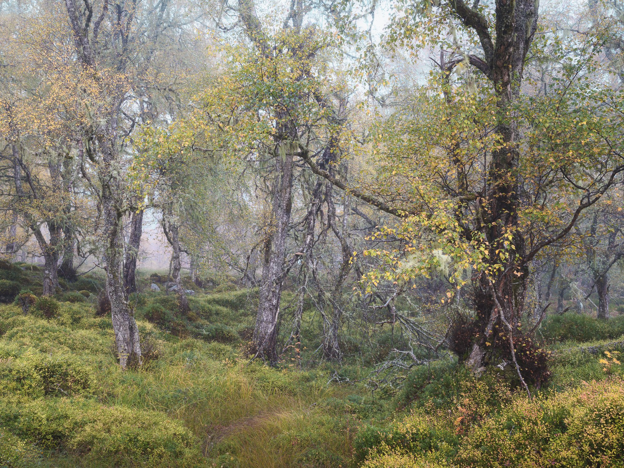SLPOTY - Duncan Wood (13).jpg