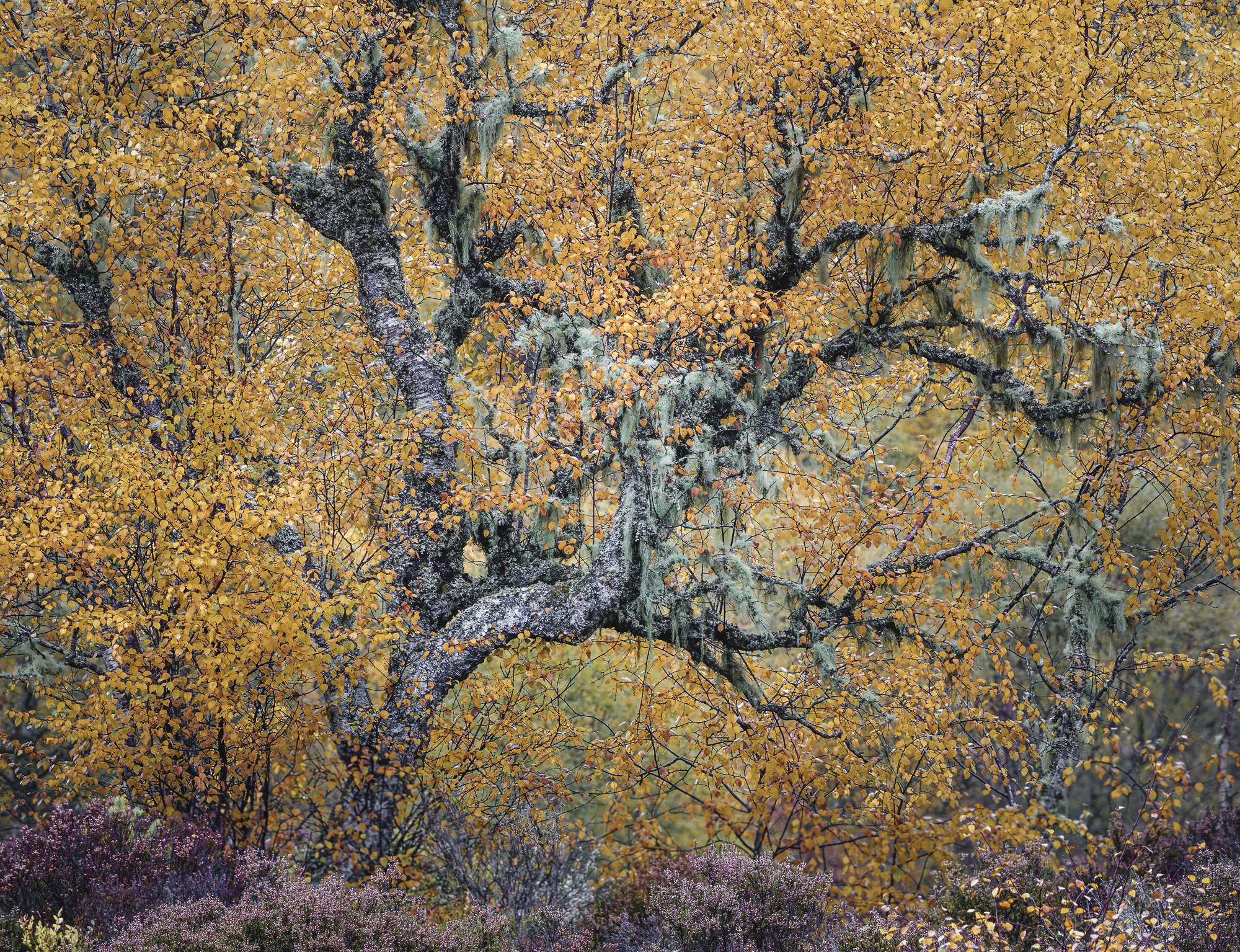 SLPOTY - Duncan Wood (4).jpg