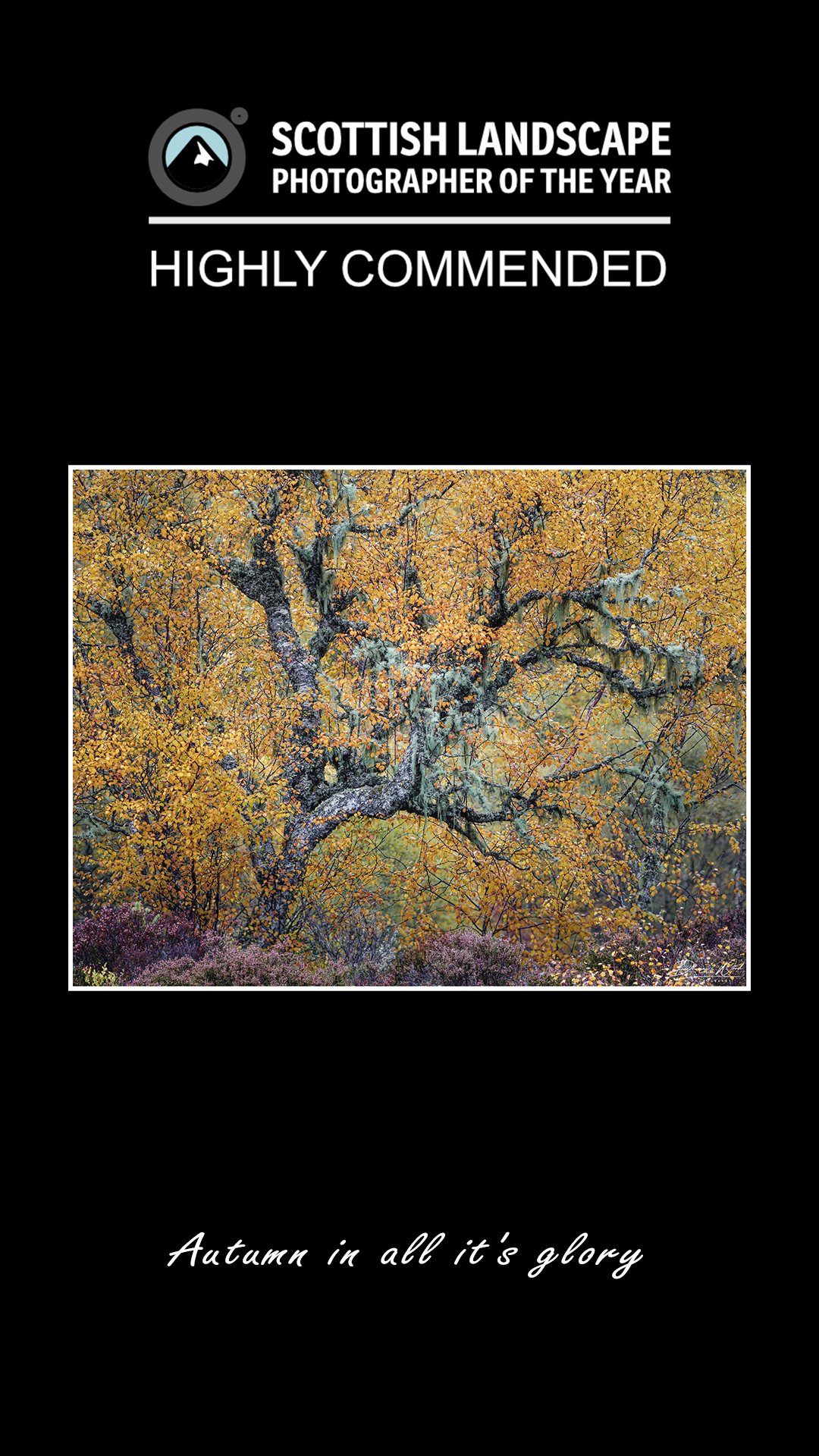 Untitled-2.jpg
