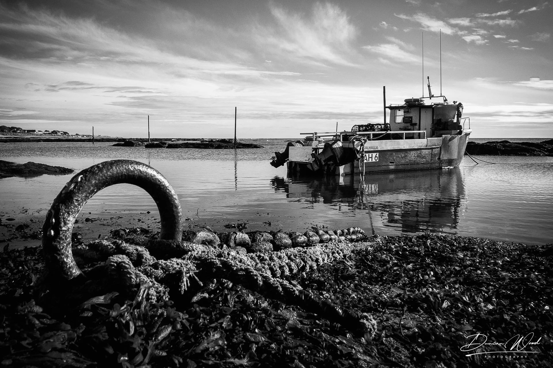A7308244-Edit-2.jpg