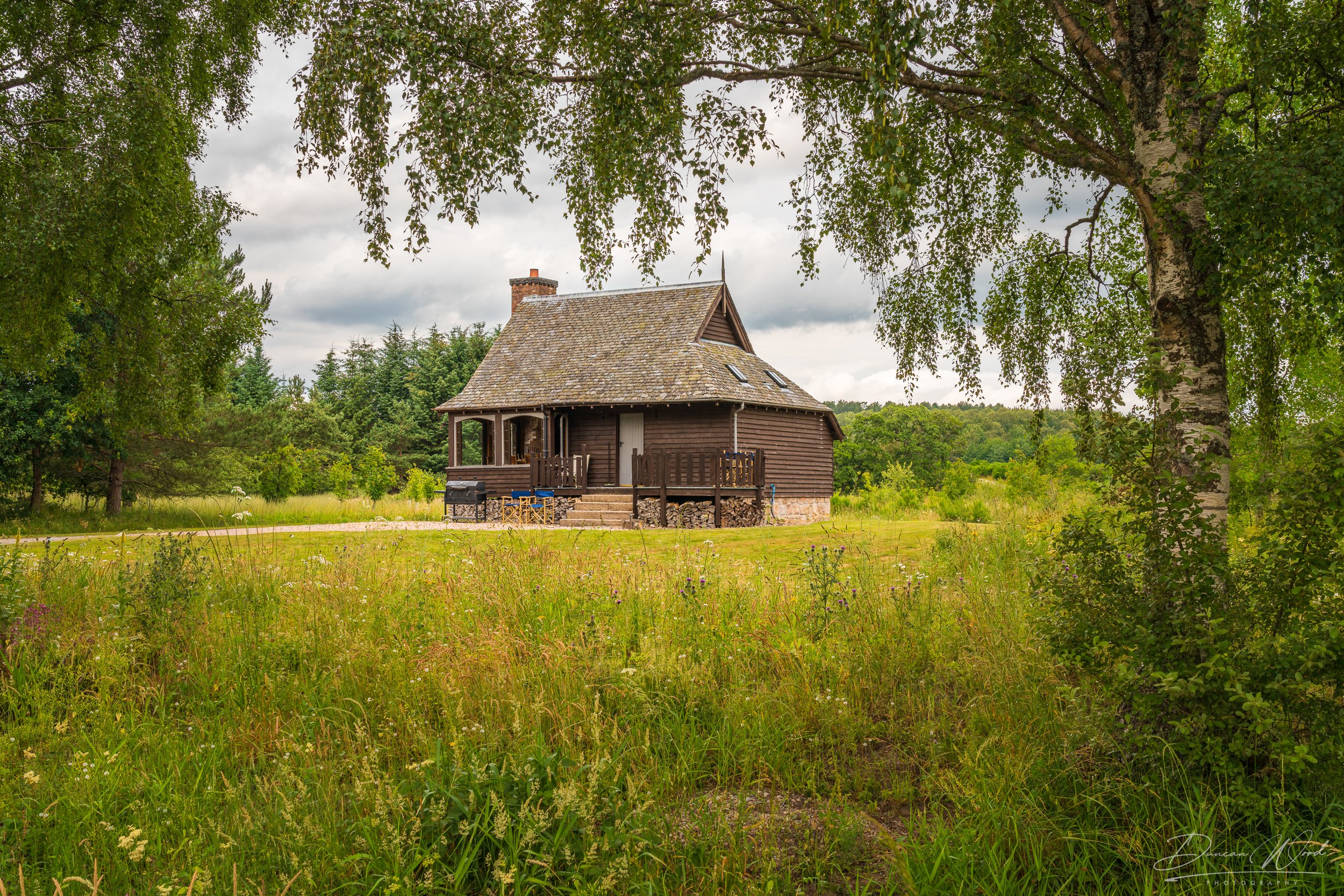 Private photography tour and commission work in Scotland, showing a woodland estate hut surrounded by trees and wild grass.