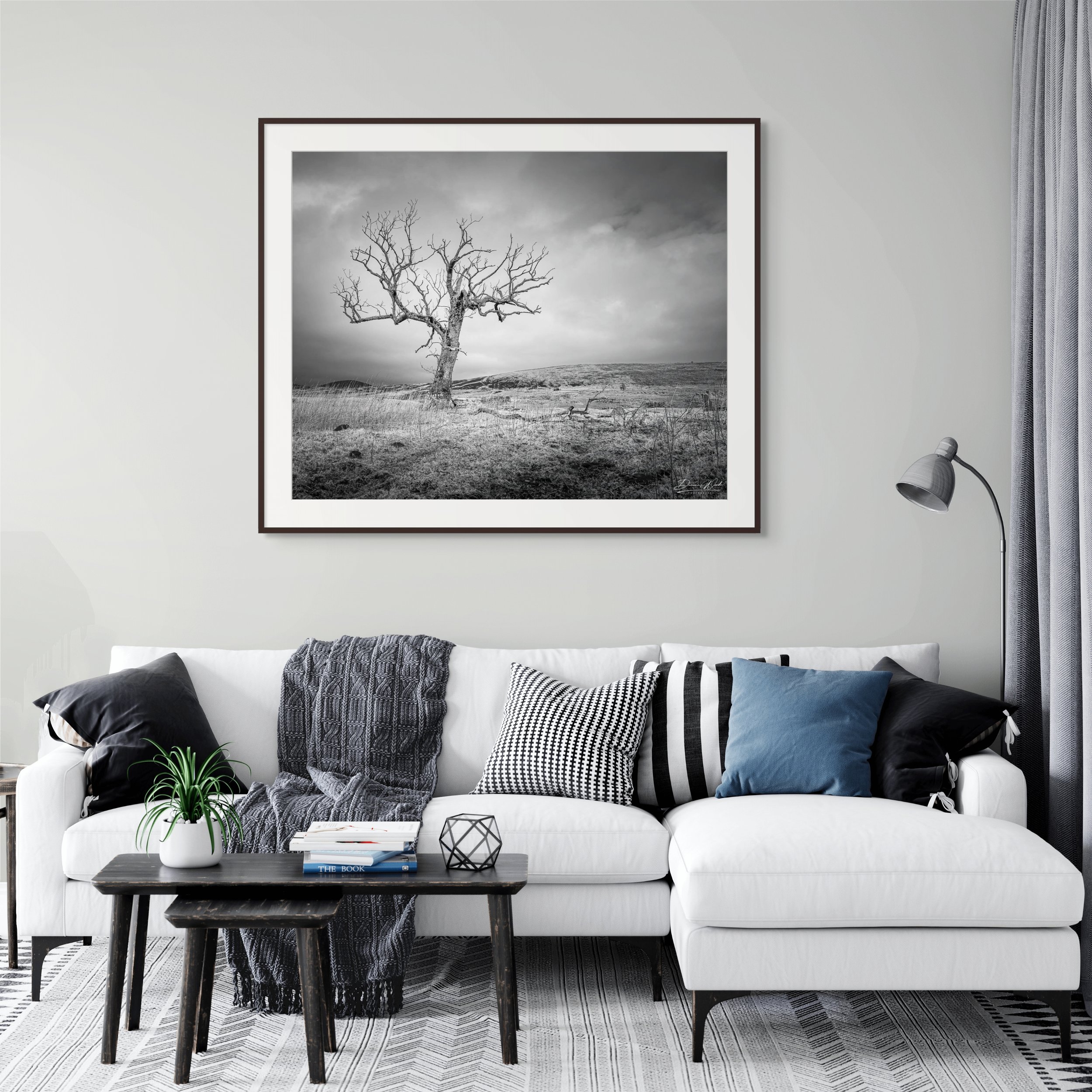 Framed print of Bare Witness by Duncan Wood displayed on a wall. Scottish black and white photography showing a stormy Highland tree.