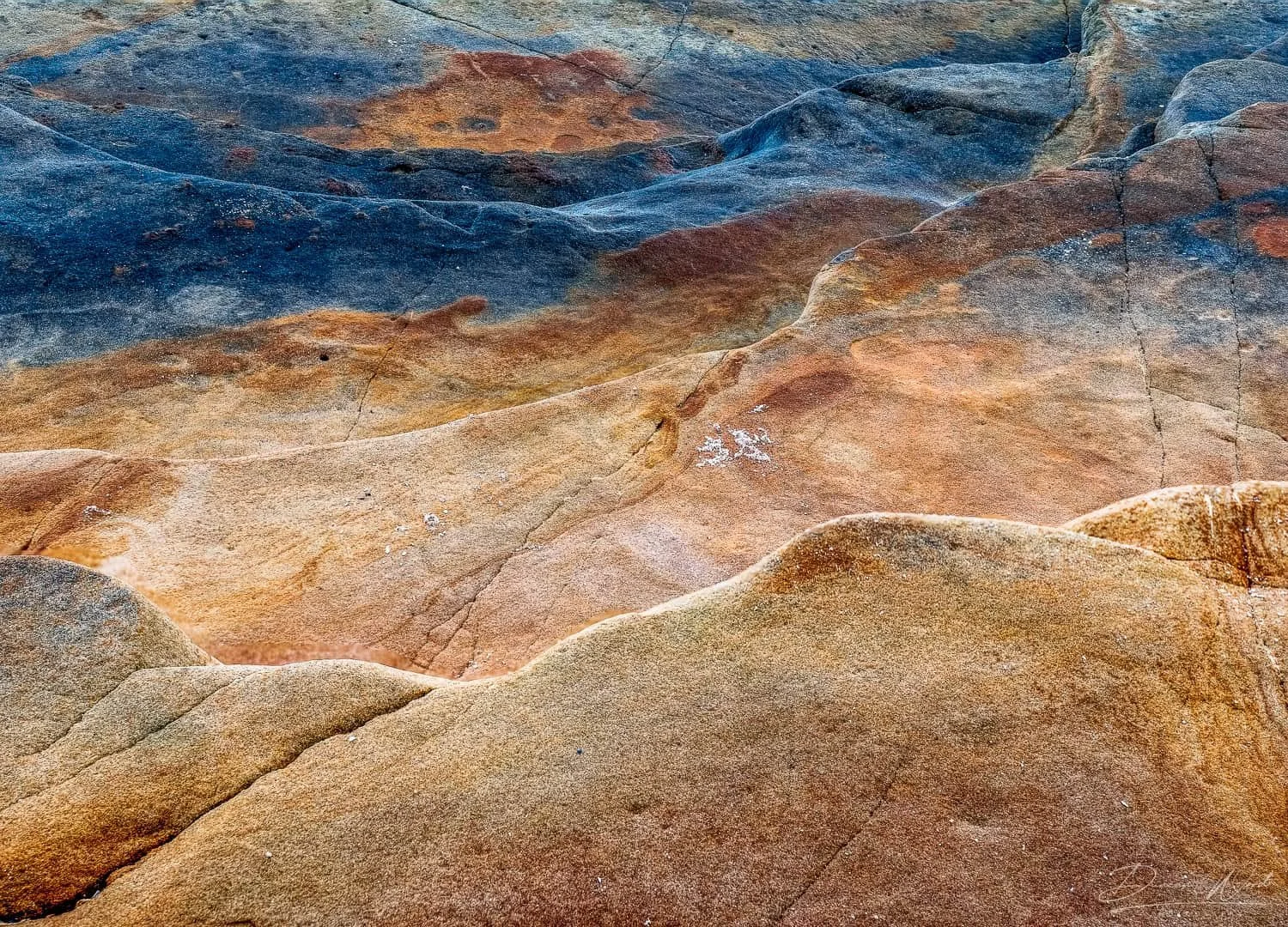 Intimate coastal rock detail with warm colour, texture and natural abstract patterns