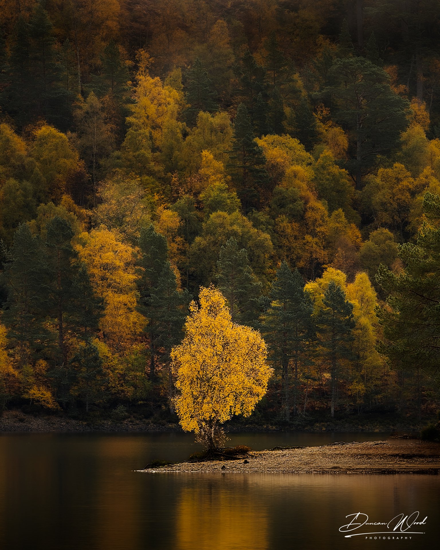_A734515-ARW_DxO_DeepPRIME.jpg