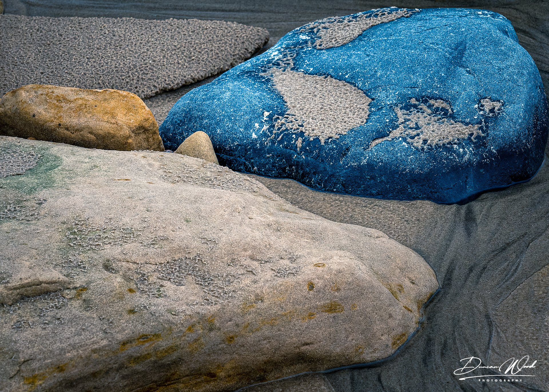 _A731558-ARW_DxO_DeepPRIMEXD-Edit.jpg
