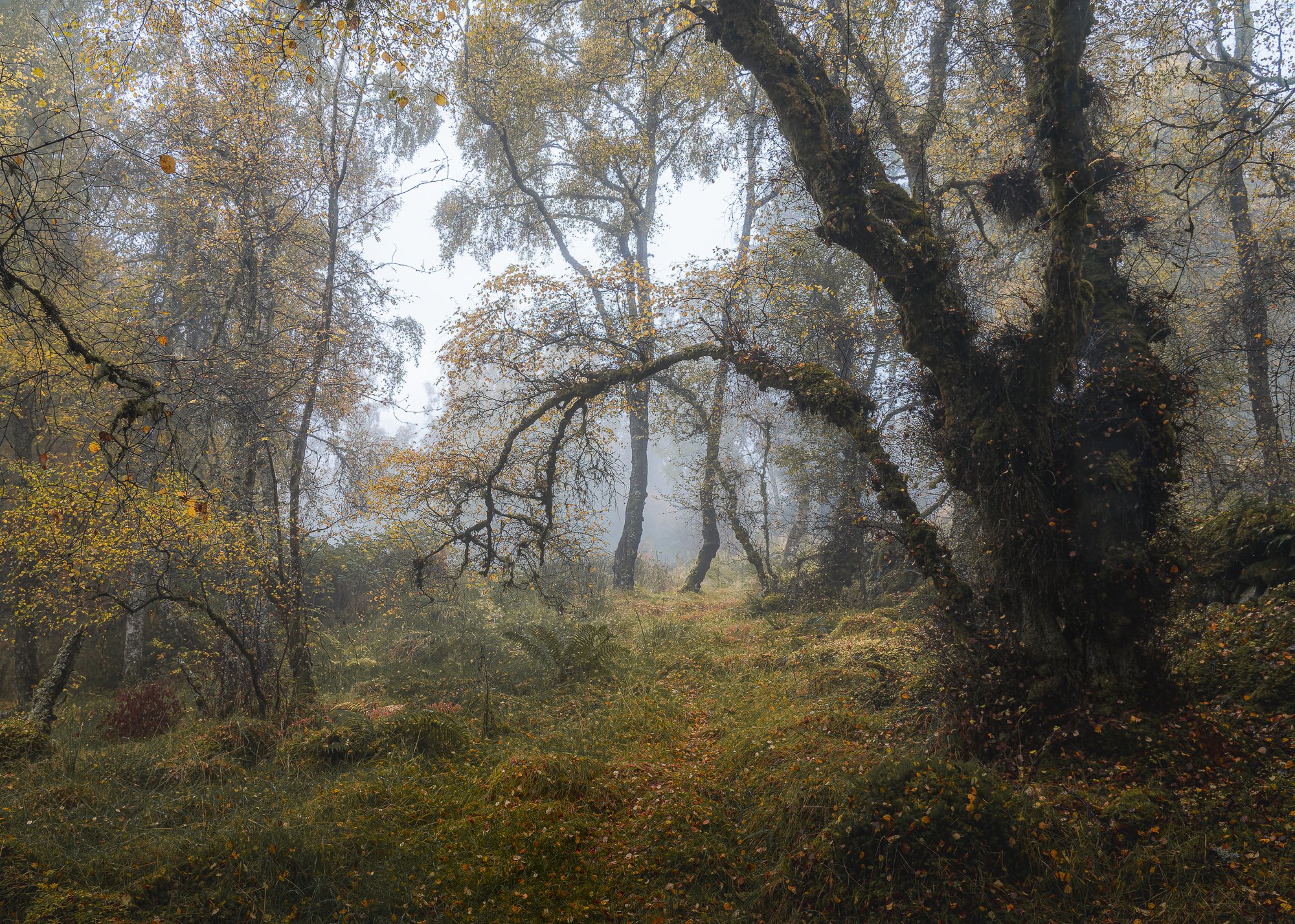SLPOTY - Duncan Wood (31).jpg