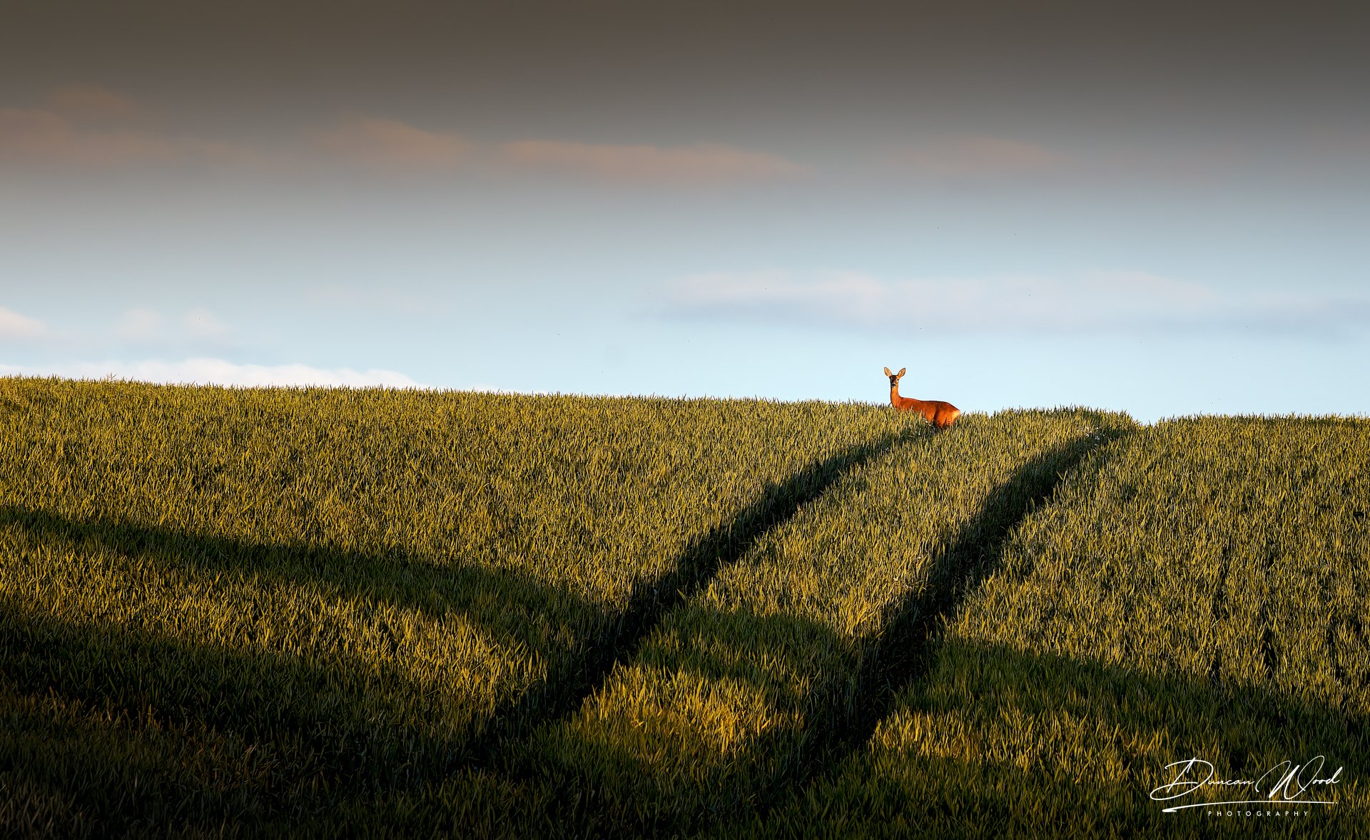 A7303927-ARW_DxO_DeepPRIMEXD-Edit-Edit.jpg