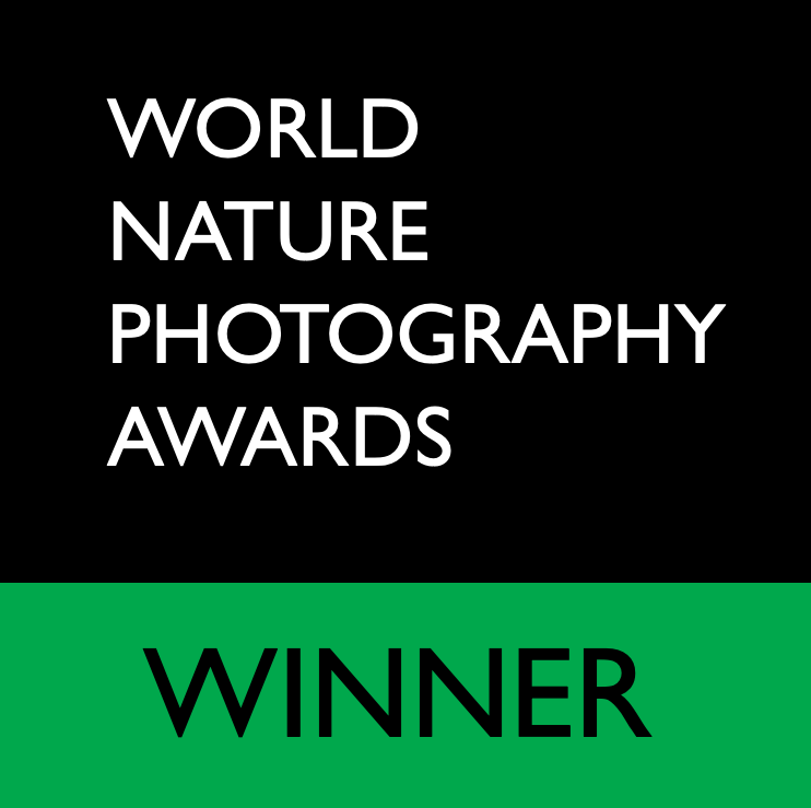 WNPA 2026 winner badge, World Nature Photography Awards Duncan Wood Photography