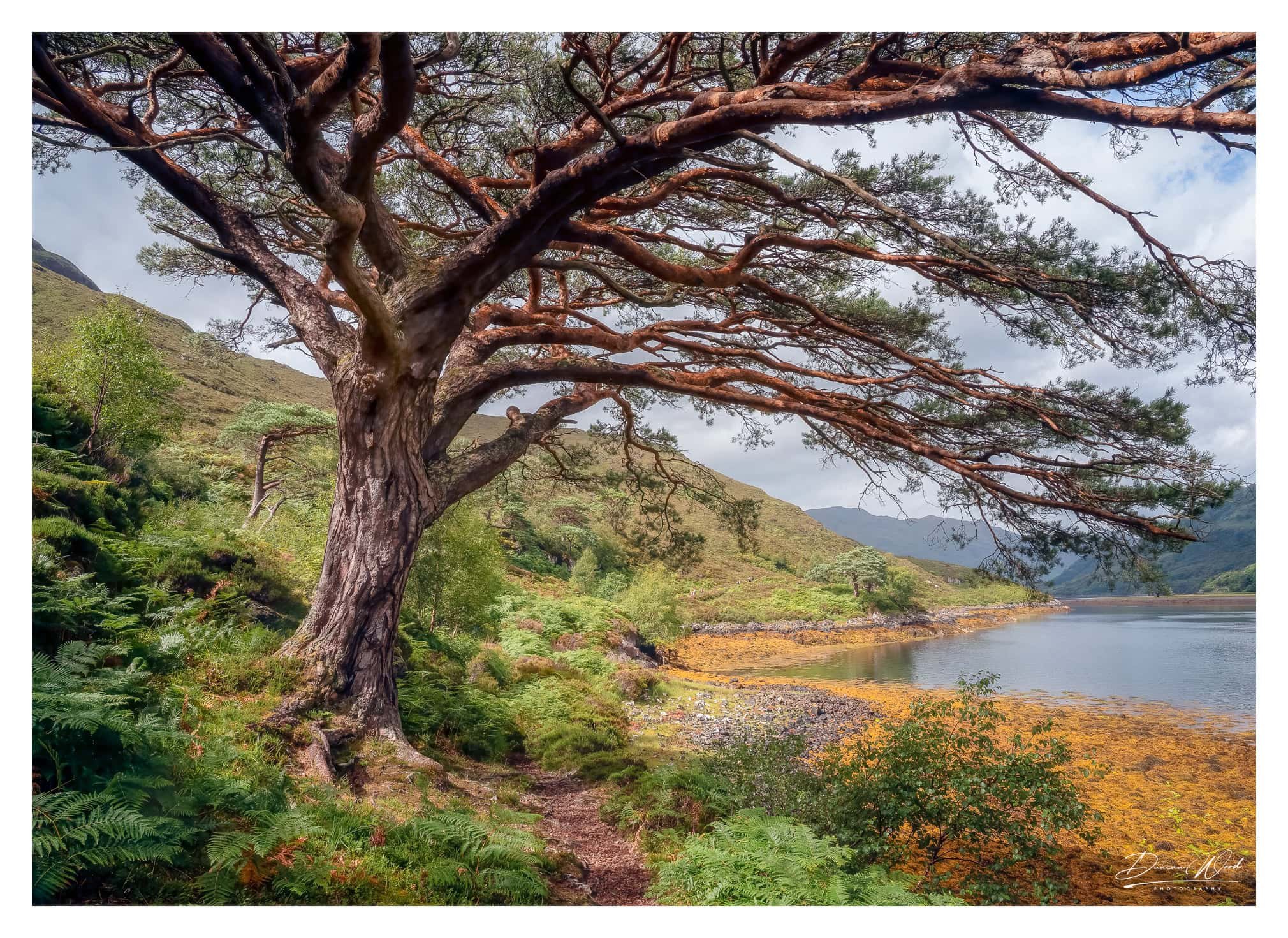 Coastal path in Knoydart, photographed by Duncan Wood in Scotland. Scottish landscape photography.