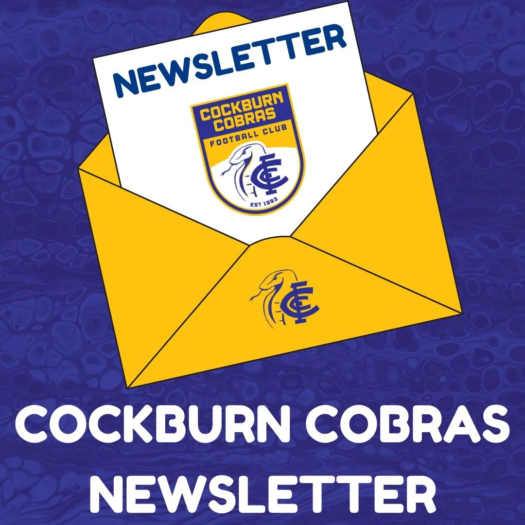 Preliminary Final Edition
Newsletter Link in Bio (Linktree)