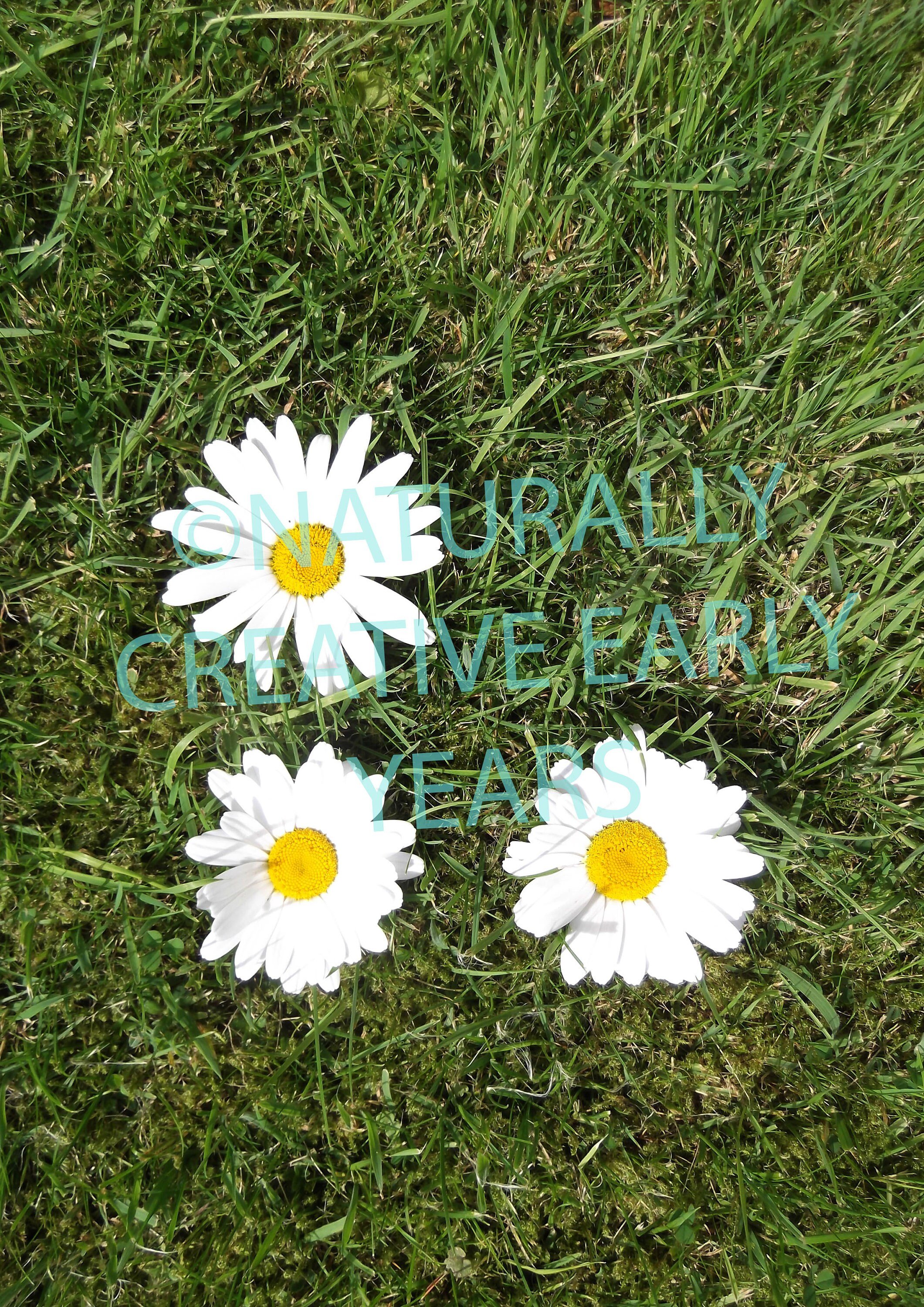 https://i.etsystatic.com/15715216/r/il/b2380e/2150828102/il_fullxfull.2150828102_4urp.jpg