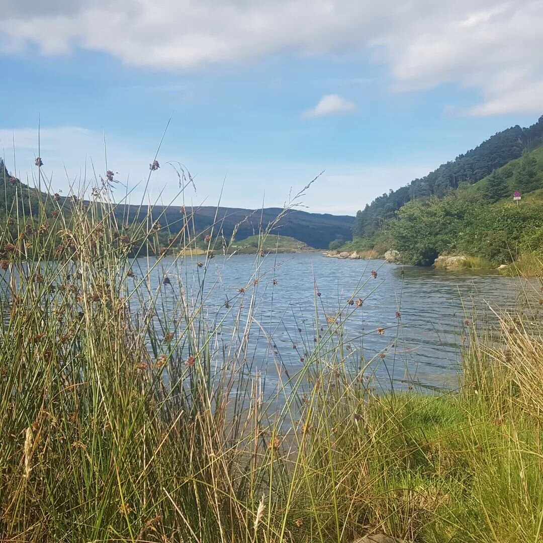 A perfect day for swimming and paddle boarding on the beautiful Llyn Geirionydd, North Wales. It's so important that as adults we take take for ourselves to go out in nature and recharge! 

#dayoff #nature #northwales