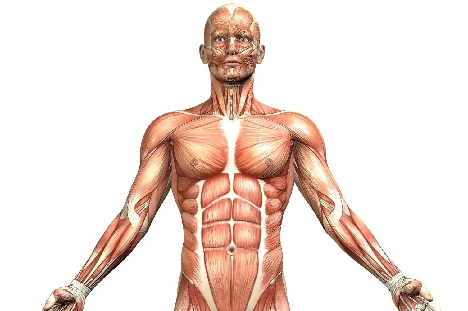 The 2026 Healthspan Foundation: Building for Longevity