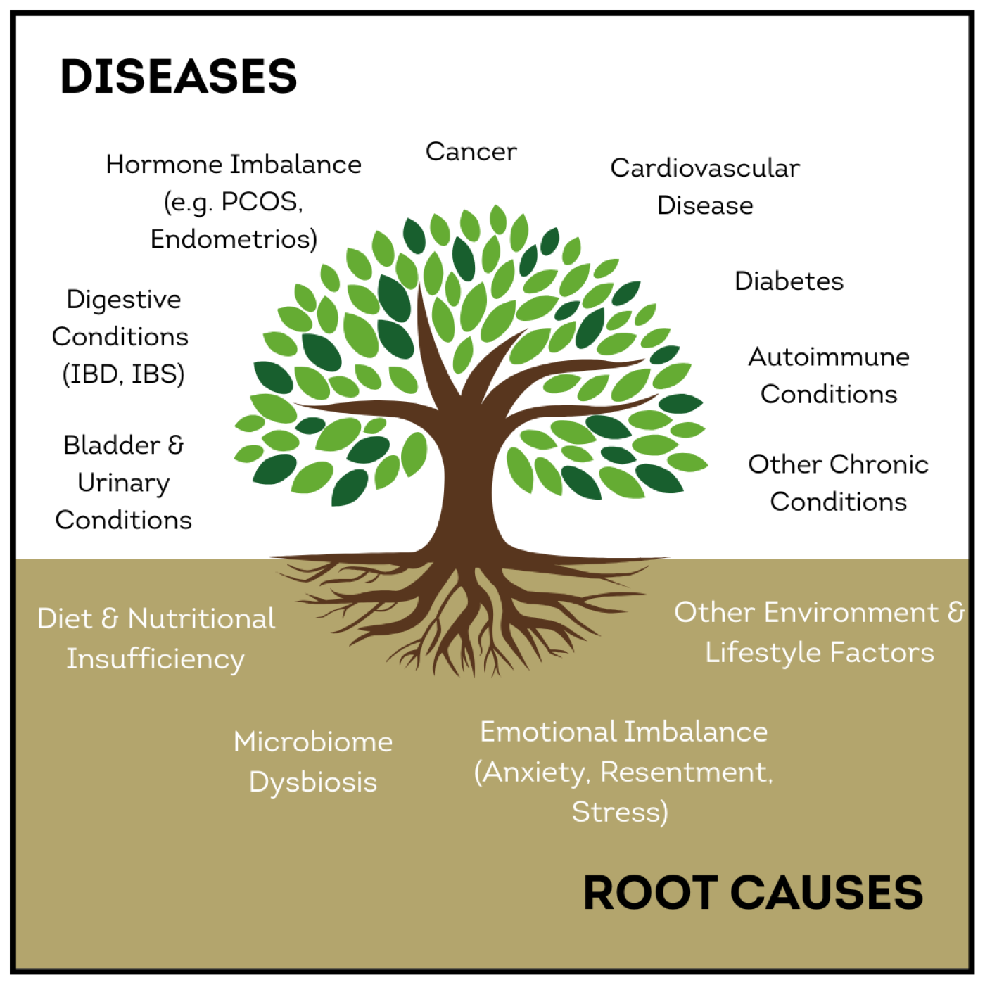 The Root Cause Tree: Diseases include cancer, cardiovascular disease, diabetes, and other chronic conditions. Root causes encompass diet, environment, lifestyle factors, emotional imbalance, and other factors.