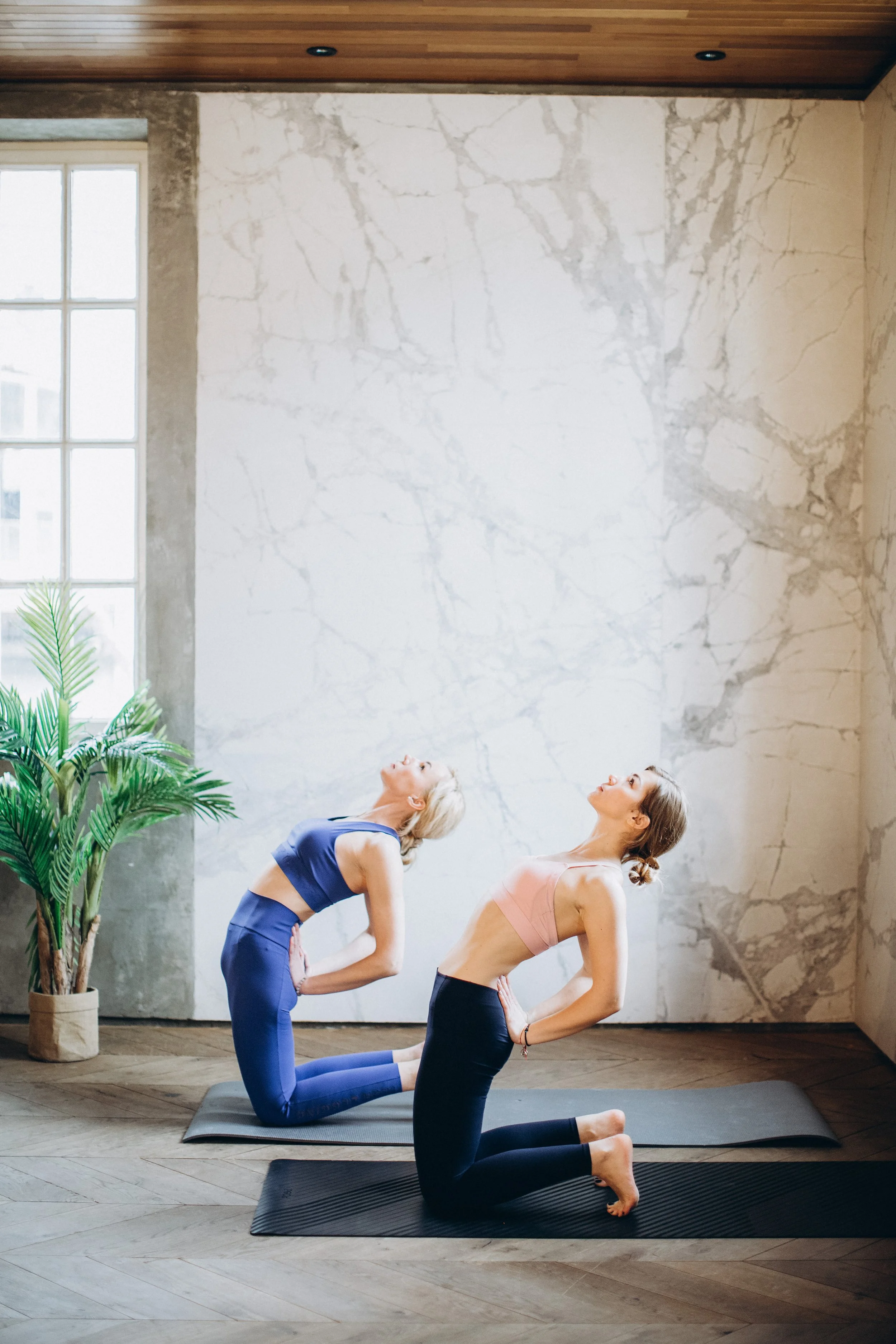 women-doing-yoga-3823154.jpg