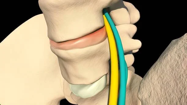 Blog - Swell Physiotherapy and Pilates