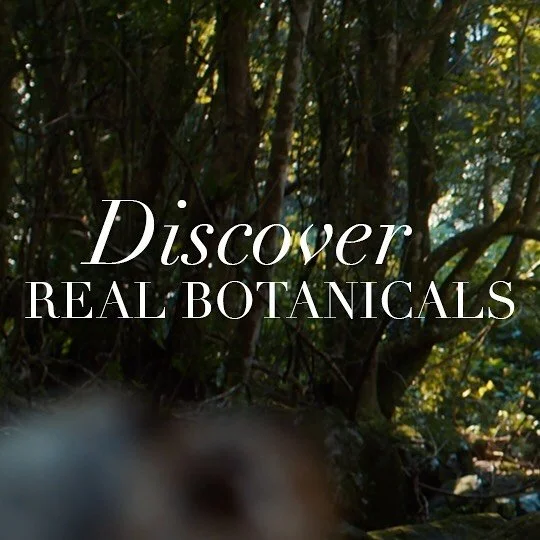 Throwback to an awesome shoot in the heart of the Byron Bay Hinterland - just before Splendour last year 🌴
_Production @elasticstudios _Dop @tom.strangward #fs7 #dop #film #filmkrs