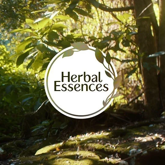 Throwback to an awesome shoot in the heart of the Byron Bay Hinterland - just before Splendour last year 🌴
_Production @elasticstudios _Dop @tom.strangward