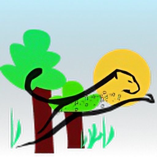 Vector-transformed (3).png