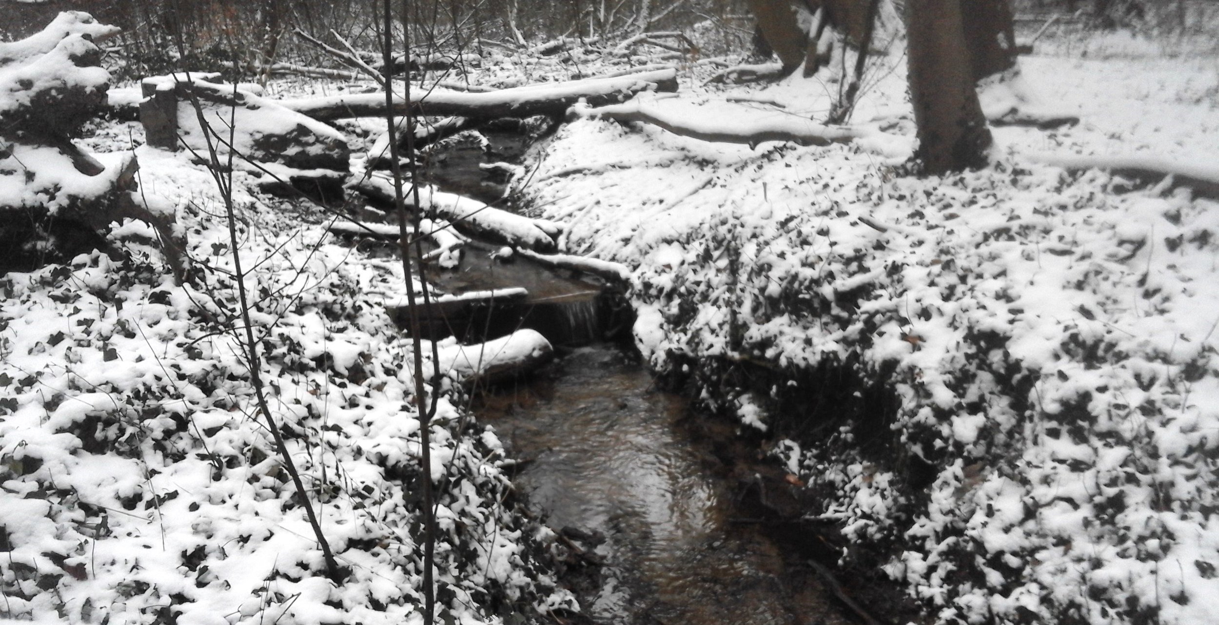 Quand tombe la neige : bienfaits, protection et émerveillement