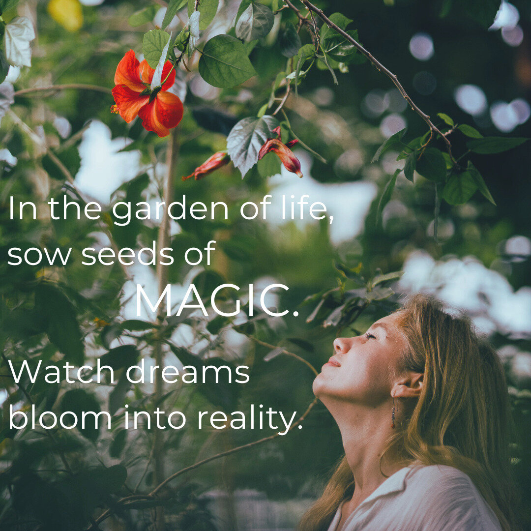 Lost in the enchantment of my magical garden, where dreams blossom with every petal. 

Tomorrow is new moon and 11:1 portal. Time for wishes and manifestations. What do you wish for in this year?✨ 

#gardenmagic #gardeningmagics #soulgarden #magicgar