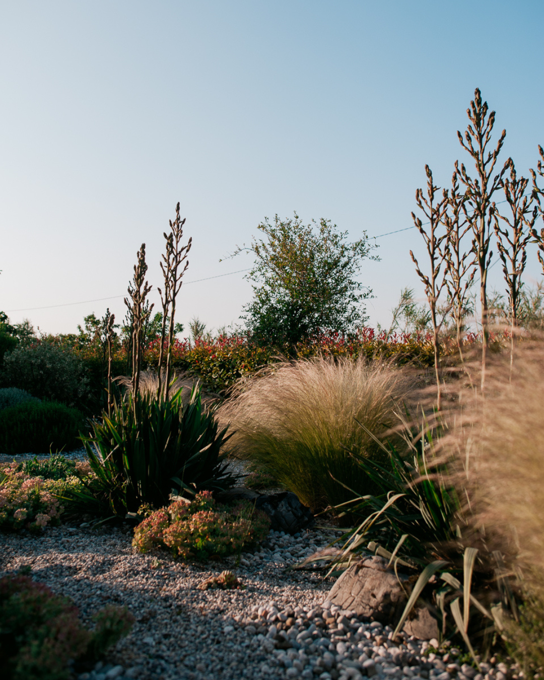 Magic Garden - trave prinašajo v vrt zvok in element zraka