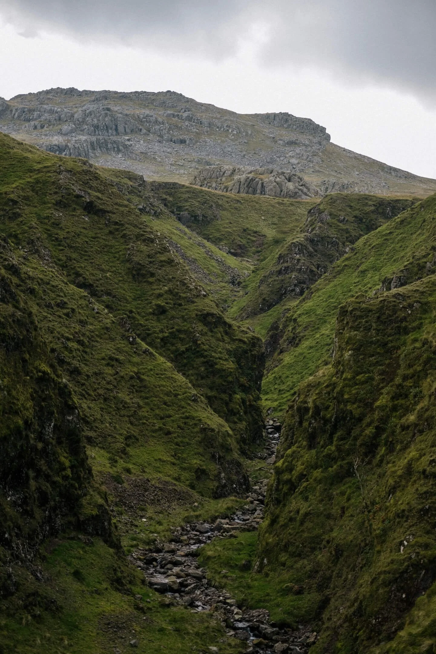 113-DSC_4637.jpg