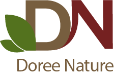Logo for Doree Nature with green leaf graphic and text