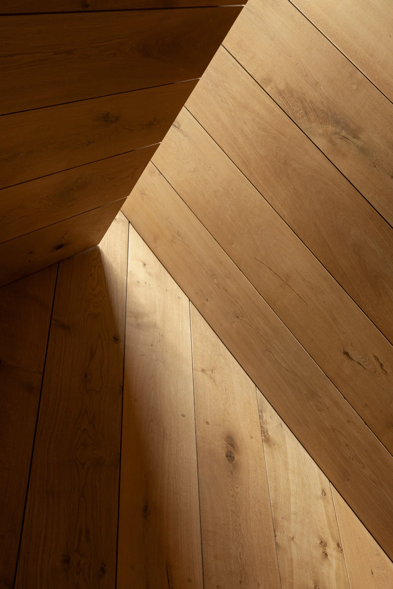 NOMA Studio-David-Thulstrup.jpg