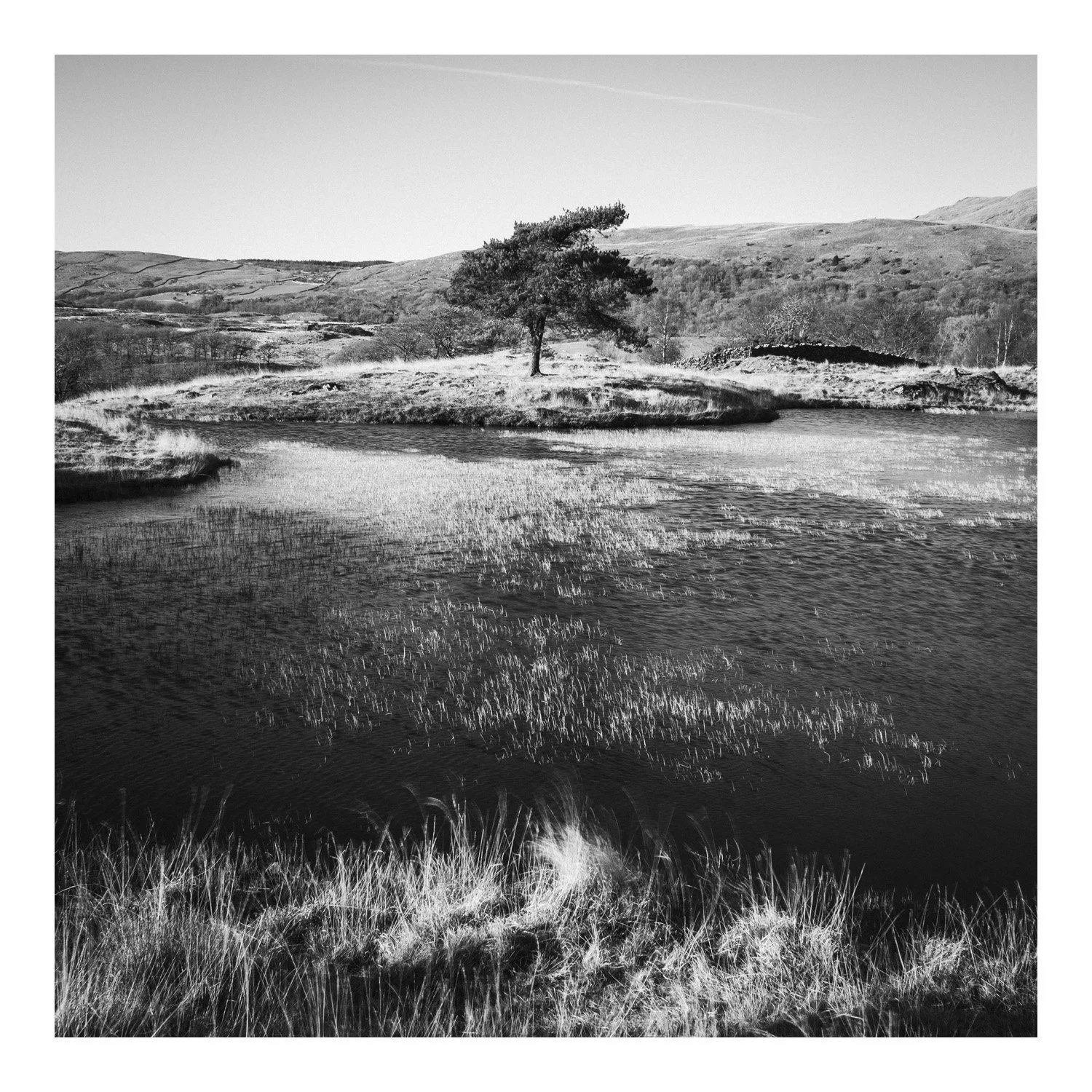 (251226-D002) Windswept, Kelly Hall Tarn. (LtdEd.50)