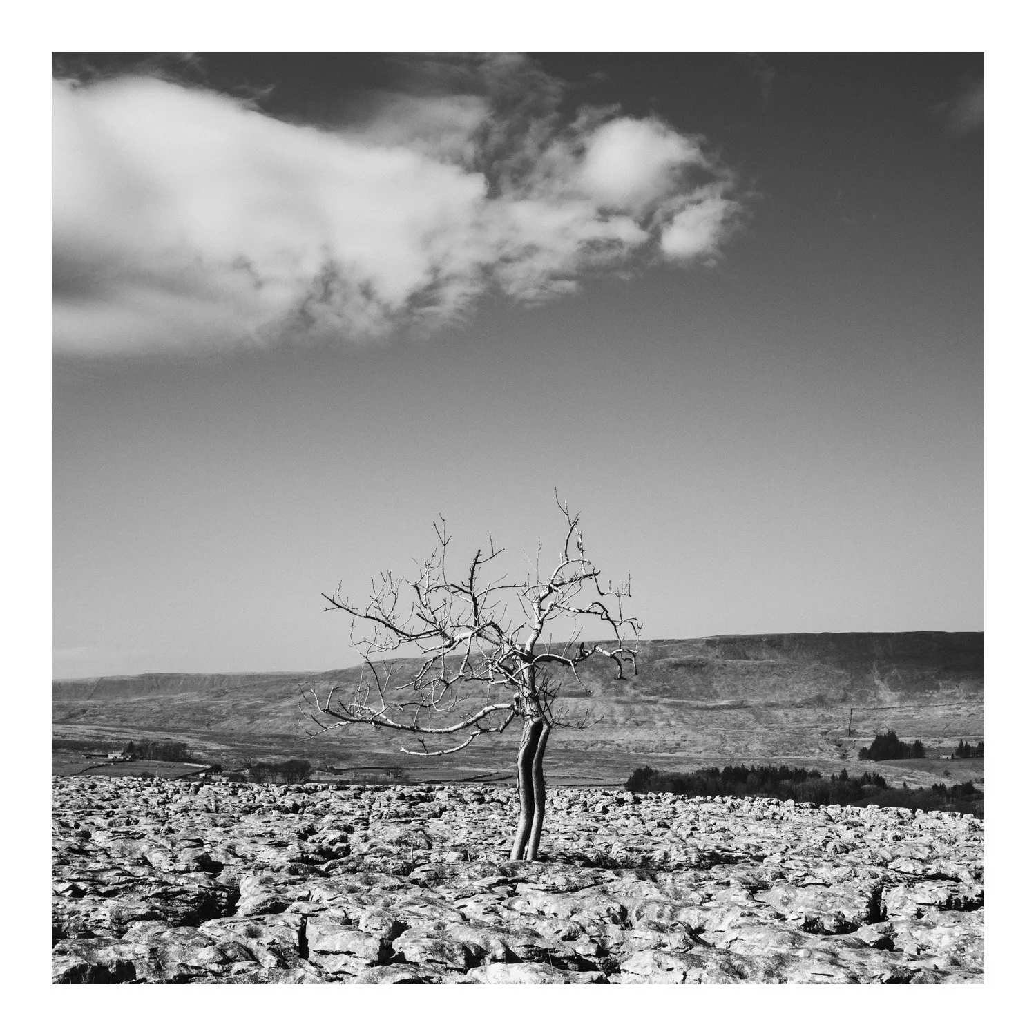 (250309-D003) Winter light, North Yorkshire. (LtdEd.50)