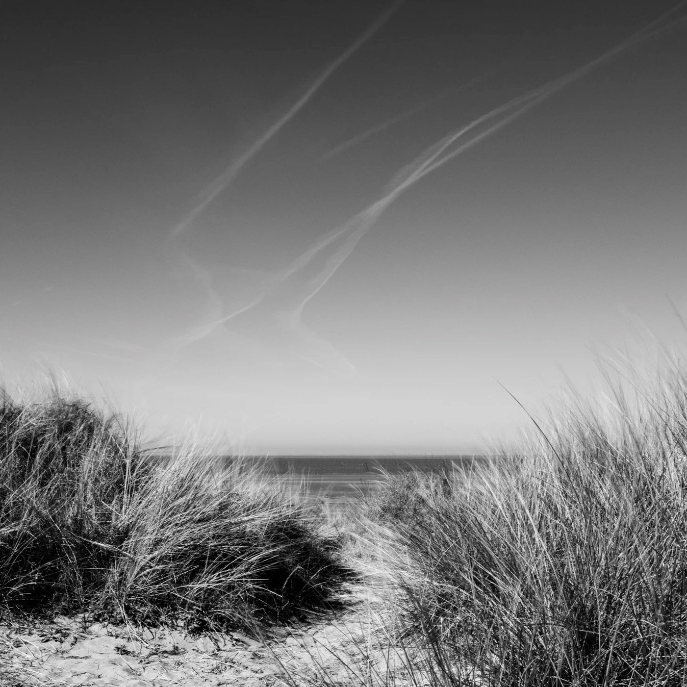 (250401-D001) Through the dunes, Old Hunstanton, Norfolk. (LtdEd.50)