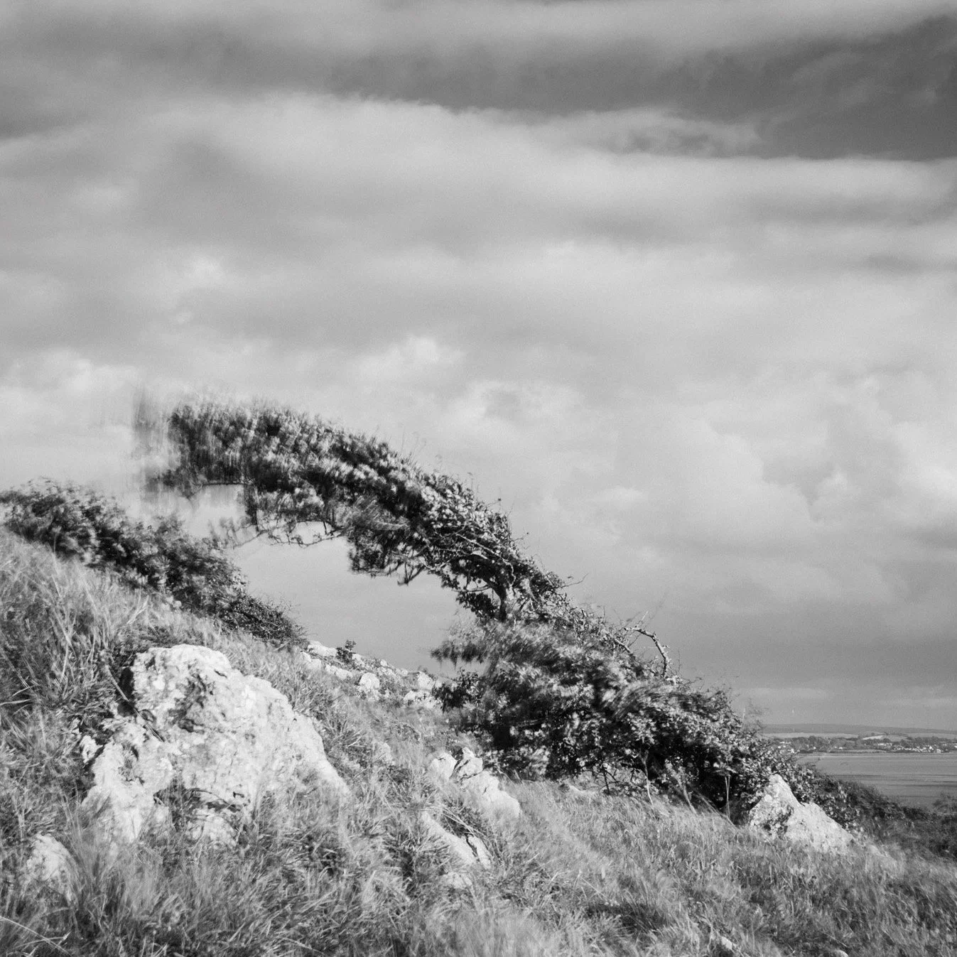 (250804-D005) Full force, Jack Scout, Silverdale. (LtdEd.50)