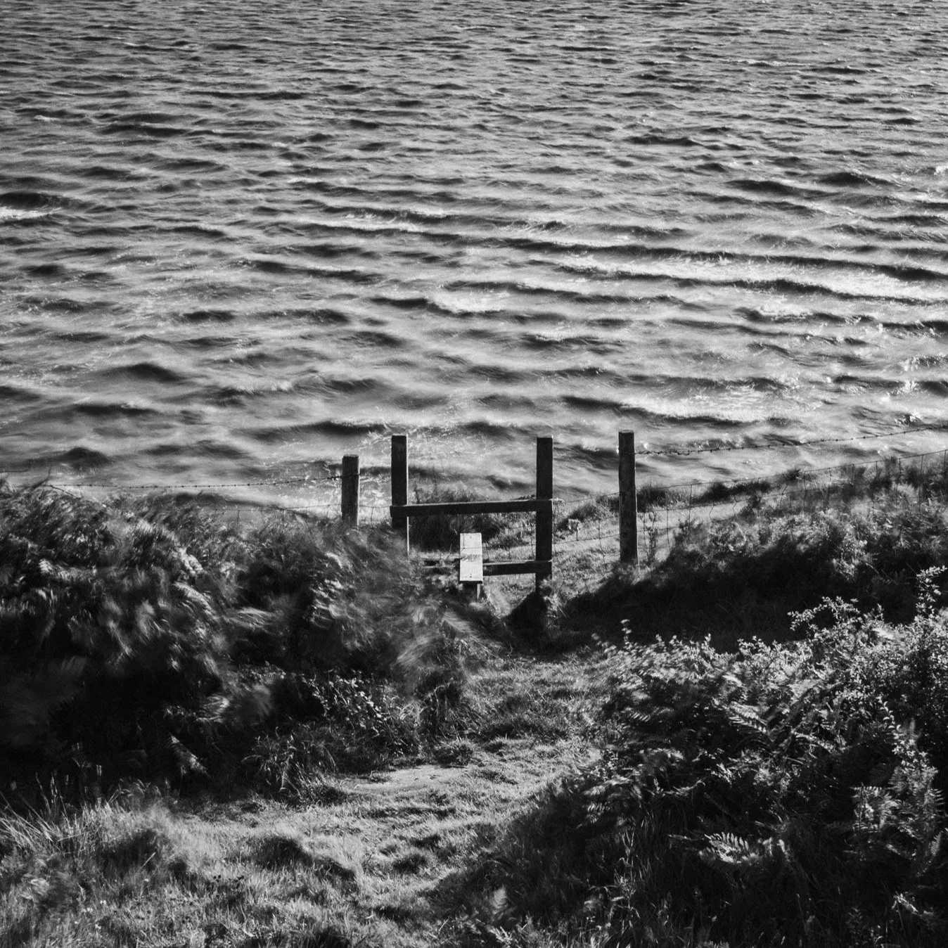 (250804-D004) Storm winds, Silverdale. (LtdEd.50)