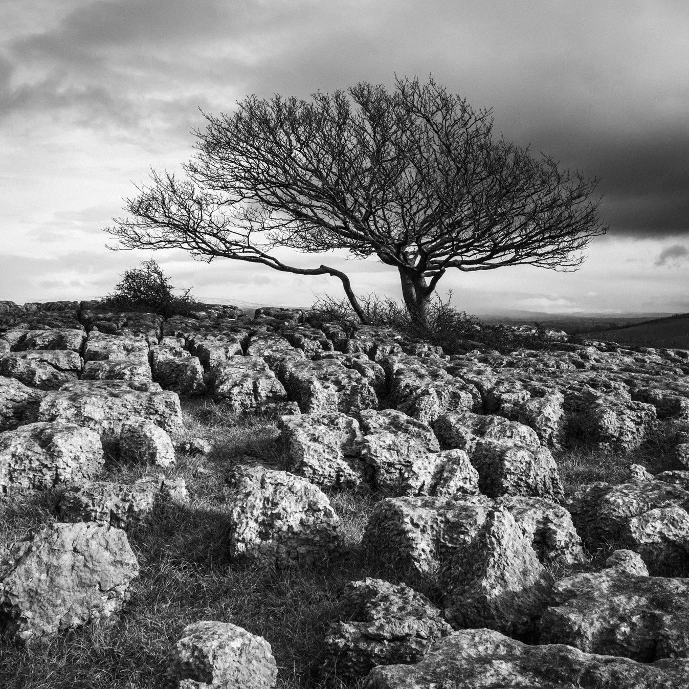 (260213-D005) Winter, Newbiggin Crags. (LtdEd.50)