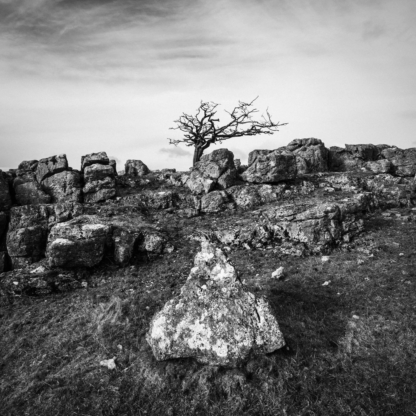 (2260213-D001) Triangular, Holmepark Fell. (LtdEd.50)
