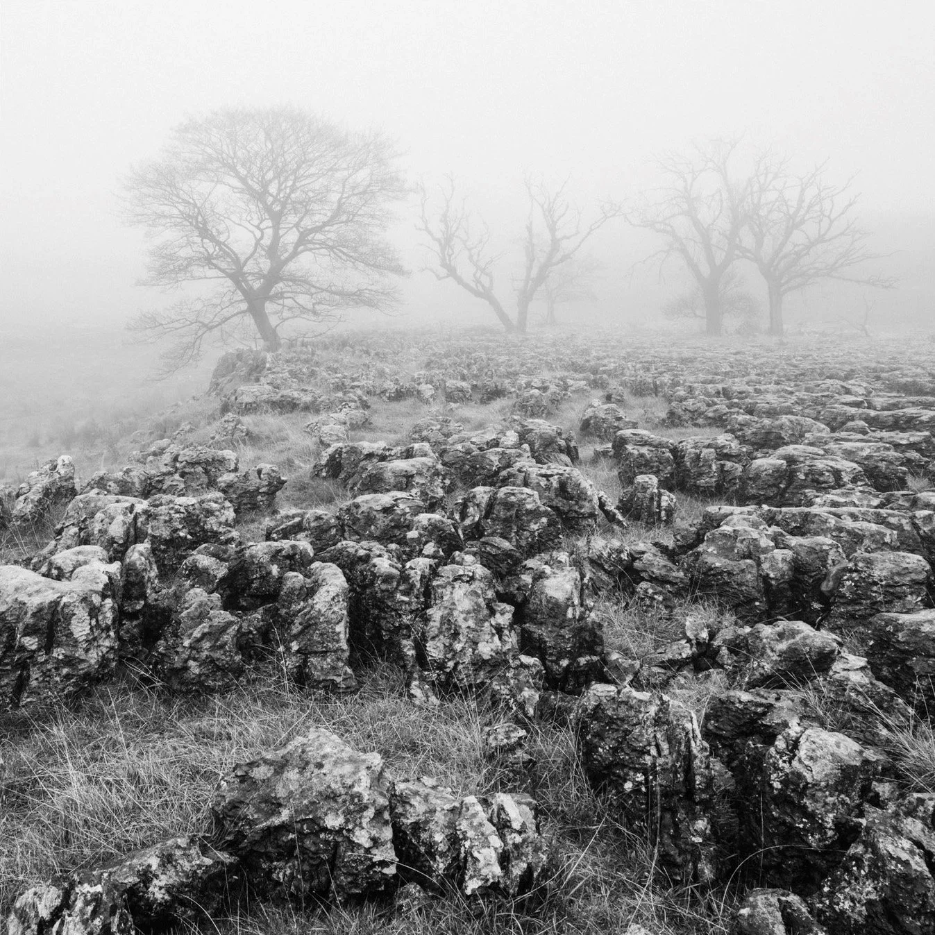 (241030-D1107) Fog, Southerscales Scars, North Yorkshire. (LtdEd.50)