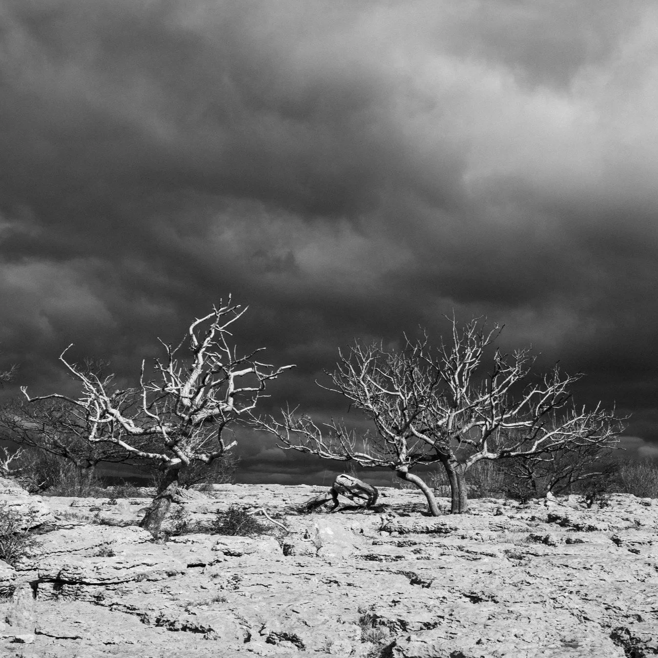 (250316-D001) Barren, Newbiggin Crags. (LtdEd.50)