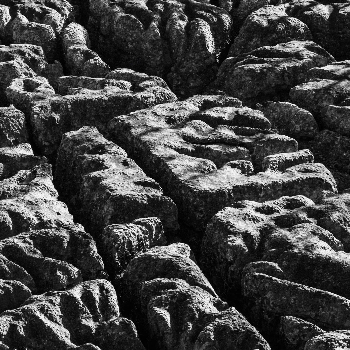 (260214-D018) Grikes and Clints, Hutton Roof Crags. (LtdEd.50)