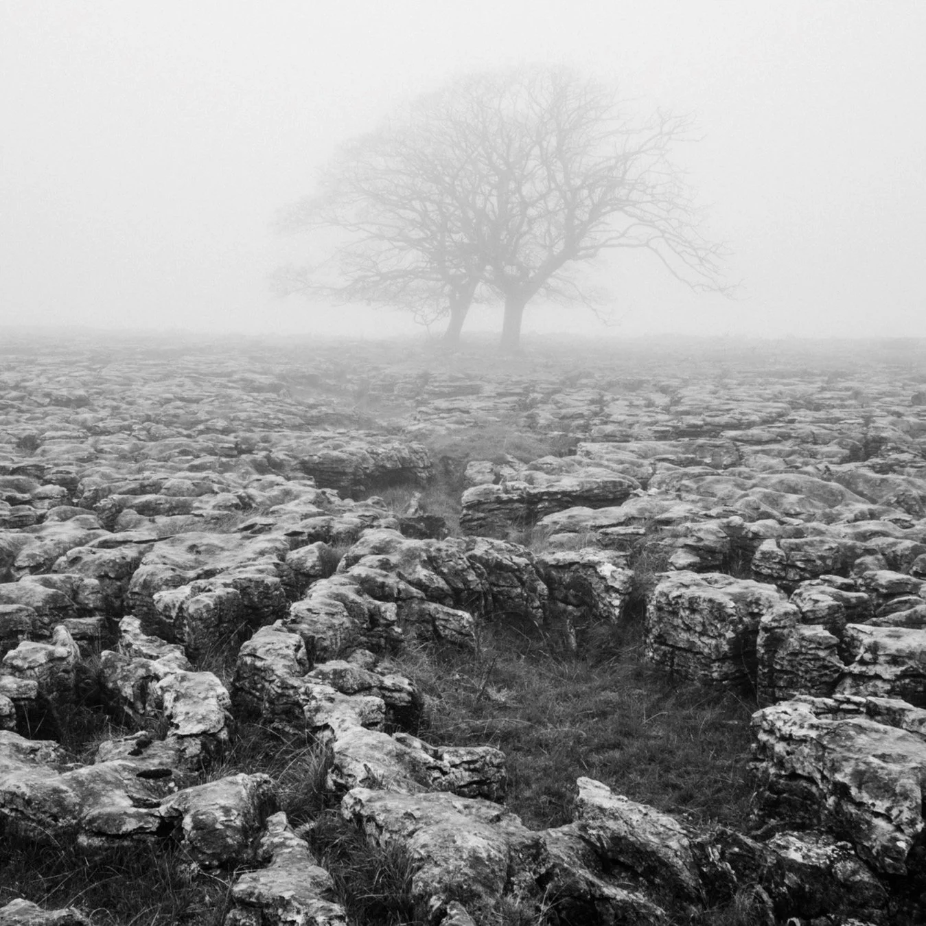 (241030-D1109) Fog, Southerscales Scars, North Yorkshire. (LtdEd.50)