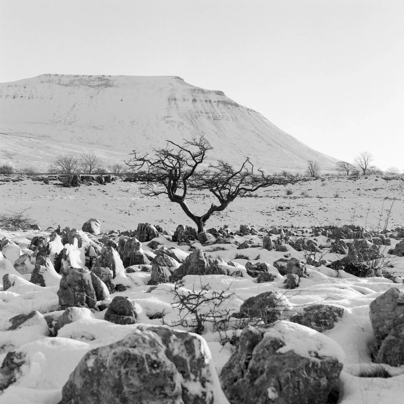 (240118-F0502) Winter, Ingleborough, North Yorkshire. (LtdEd.50)