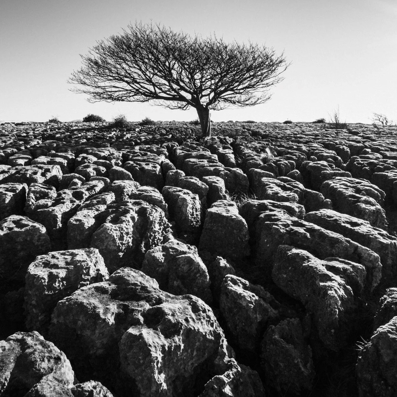 (260214-D008) Winter light, Newbiggin Crags. (LtdEd.50)