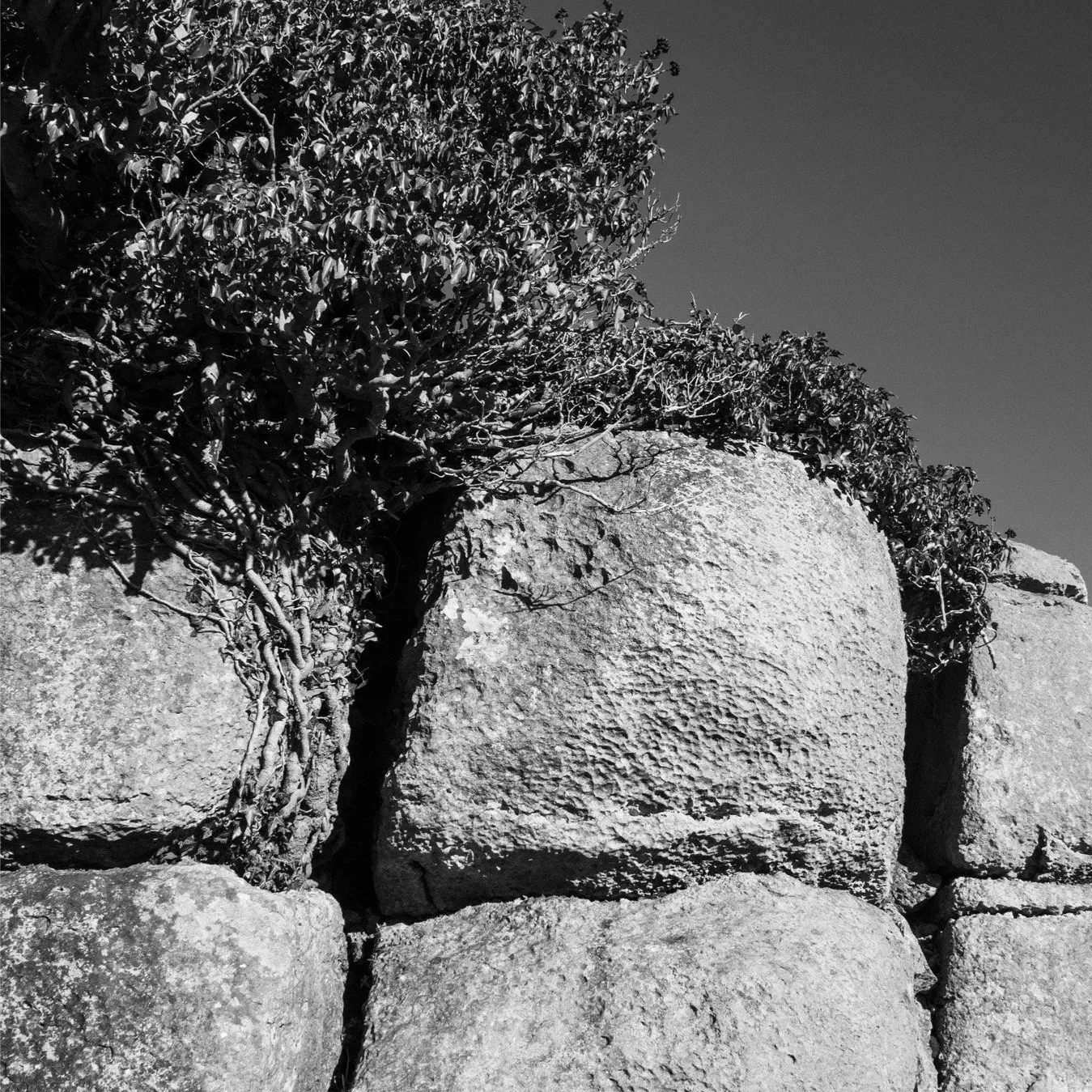 (260214-D020) From within, Newbiggin Crags. (LtdEd.50)