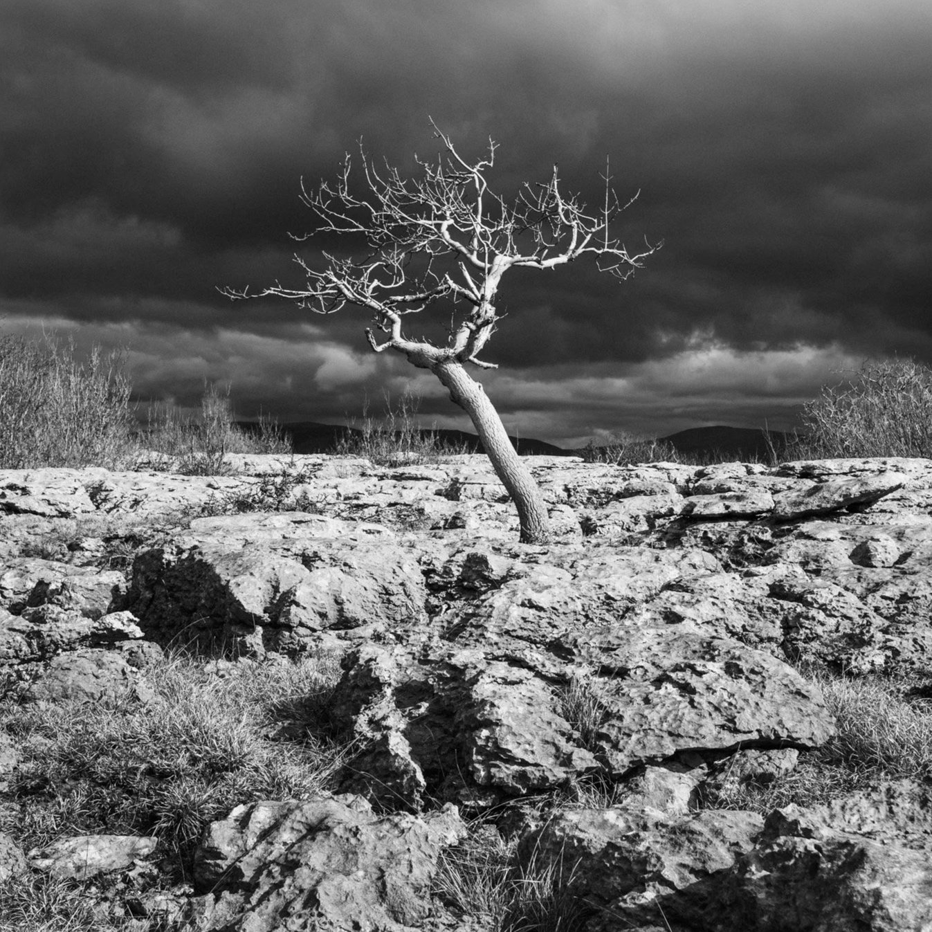 (250316-D002) Winter light, Newbiggin Crags. (LtdEd.50)