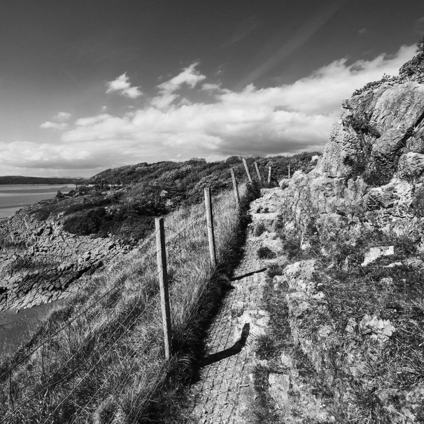 (250507-D001) Jack Scout footpath, Silverdale (LtdEd.50)